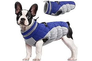 FUAMEY Dog Coat: The Perfect Warm Winter Jacket for Your Small Dog