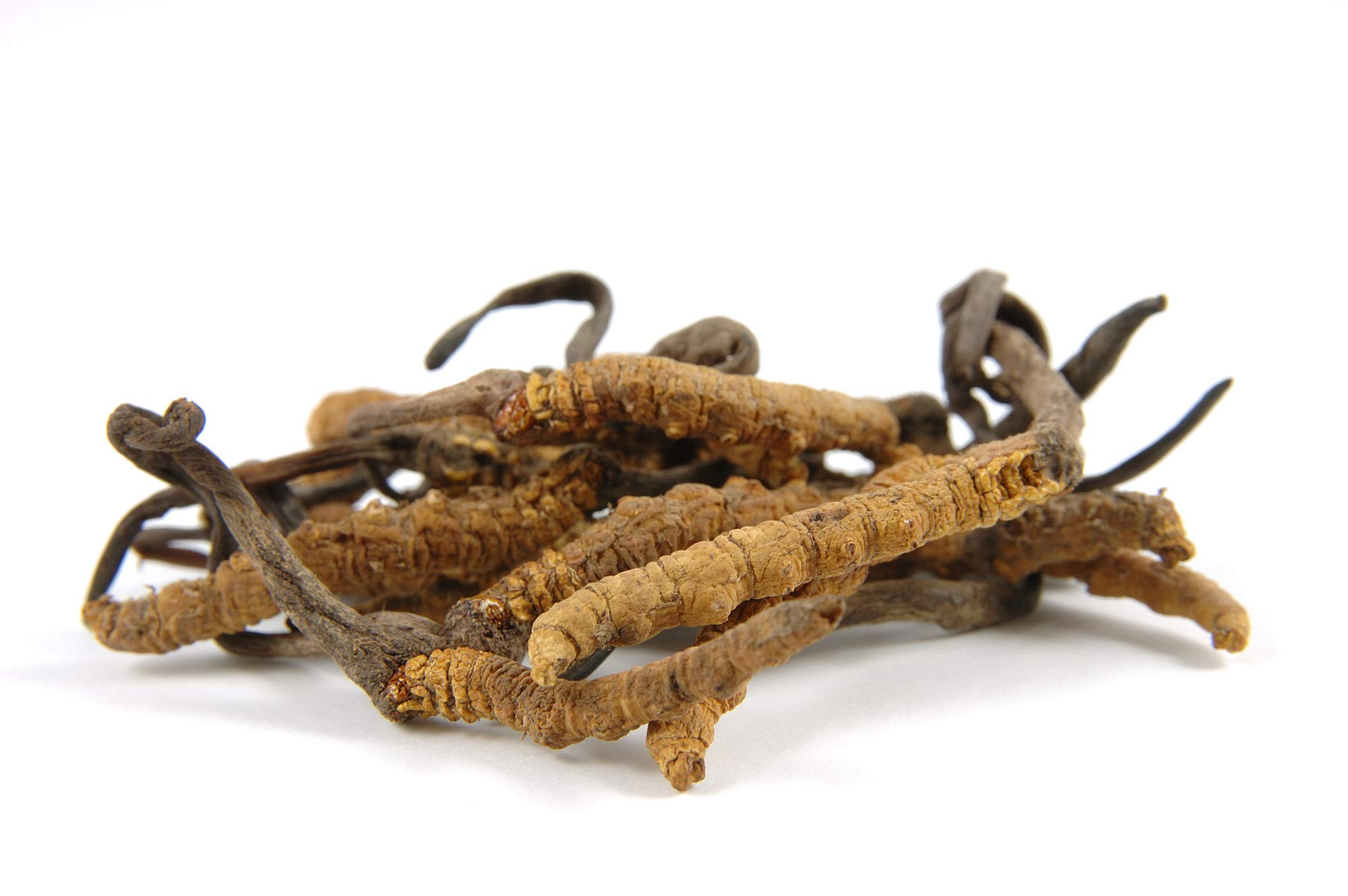 mynatura Bio Cordyceps Pulver 200g | Raupenpilz gemahlen | Vitalpilz aus kontrolliertem Anbau | Hochwertig & proteinreich | 100% Vegan & Glutenfrei | DE-ÖKO-044 (1 x 200g)