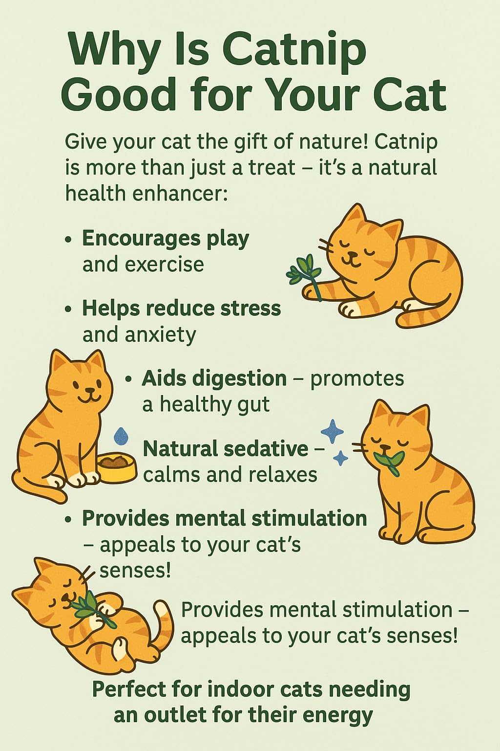 Ambrozia NP Cat Grass Kit x5 Pots - 100% Wheat, Golden - Image 4