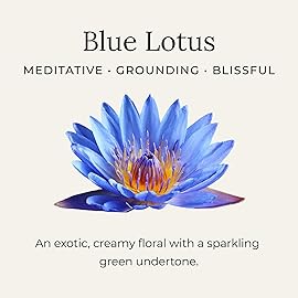 Little Seed Farm All Natural Deodorant Cream - Blue Lotus - Aluminum Free Deodorant for Women or Men, Net Wt. 2.4oz | 68g