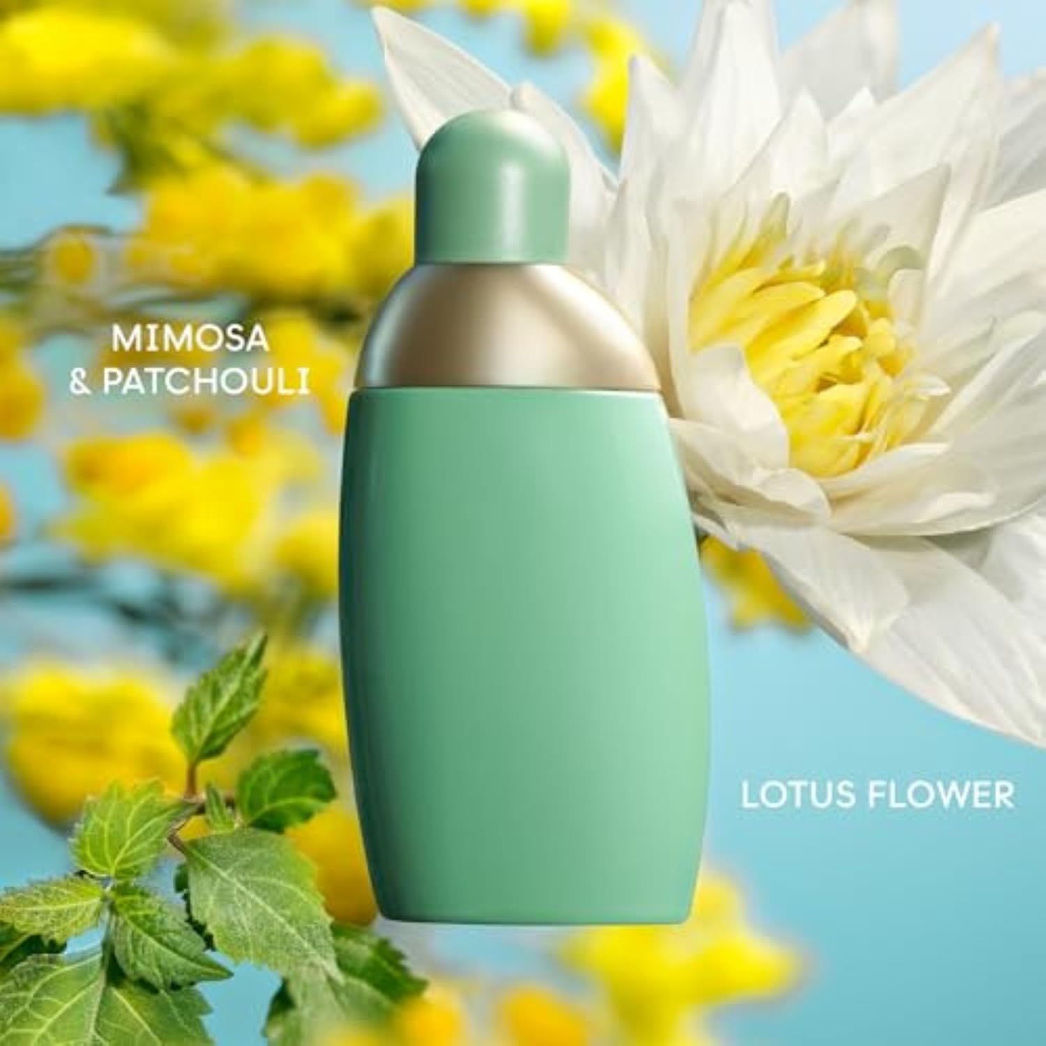 Cacharel Eden, Eau de Parfum for Women, Floral, Chypre With Notes of Mimosa & Sandalwood - Image 2