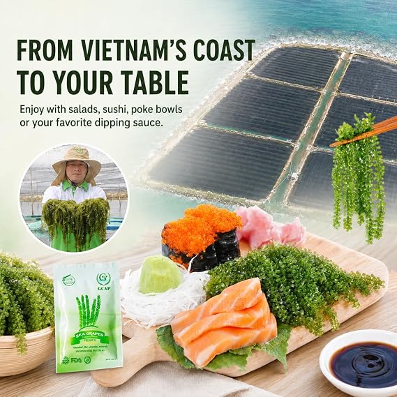 GCAP Sea Grapes PREMIUM 4.23 OZ of 6 packs, Dehydrated seaweed, Umibudo, Green Caviar, Lato seaweed - A great superfood for your health, boosting immune system