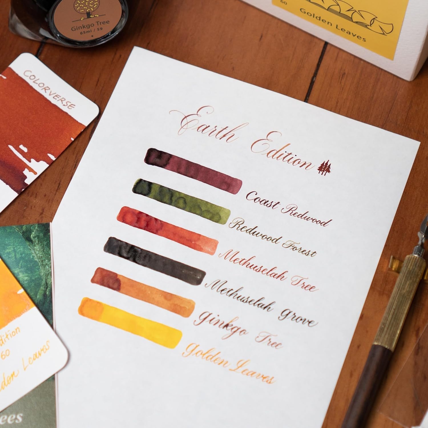 Colorverse Ink - Earth Edition - Coast Redwood (65ml) & Redwood Forest (15ml)