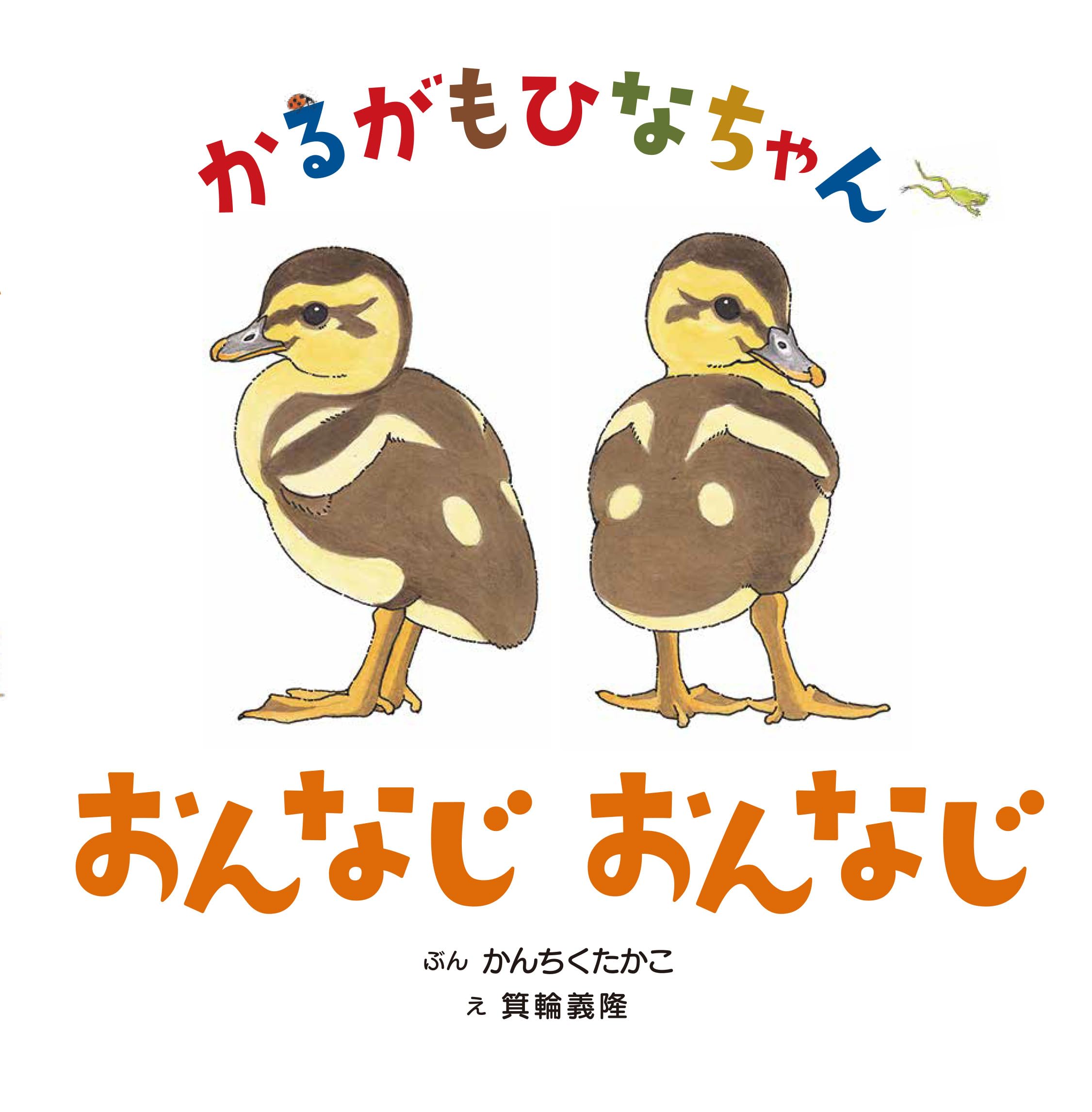 ****カルガモちゃん**** カルガモちゃん🦆 思わずついていってしまう可愛さ🤣 Spot-billed duck
