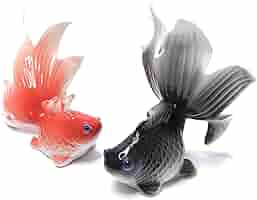 金魚の陶器置物 黒い台座付き Amazon.co.jp: 金魚 オブジェ 陶器製 置物 ペア 黒 赤 おしゃれ