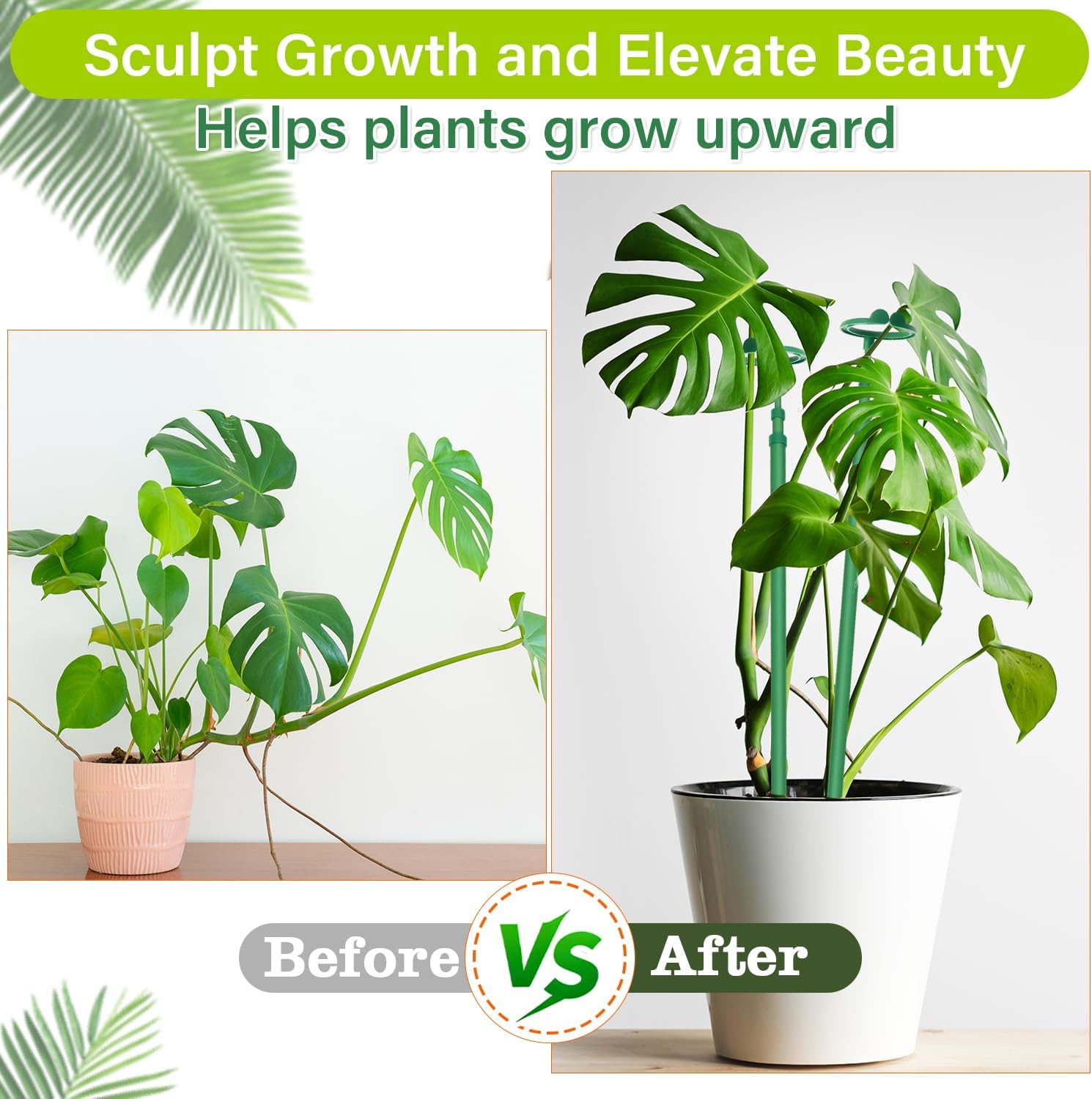 Extendable Monstera Plant Stakes, Support Sticks with Clips 3 Pack image 3