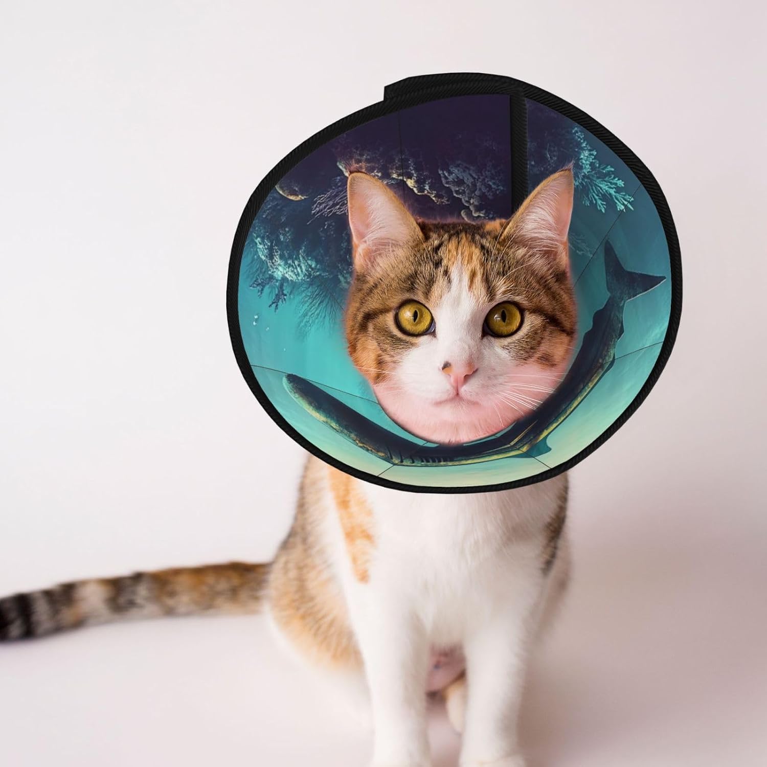 Custom Pet Cones - Unique Design Cat & Dog Cone, Collar for Post-Surgery Recovery, Adjustable Neck Underwater Environment Large