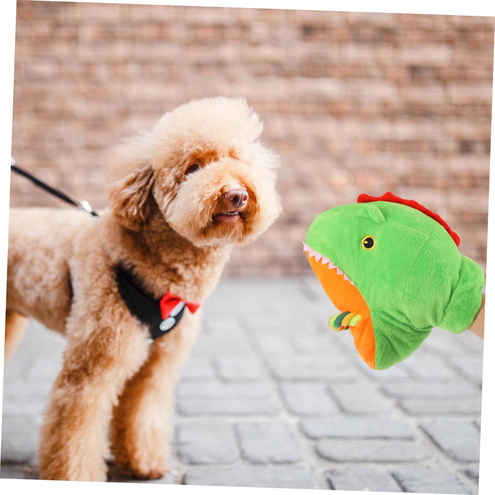 Sosoport 3pièces Jouet à Mâcher pour Chiens Peluche avec Bruit Interactif pour Chiots Jouet Squeak