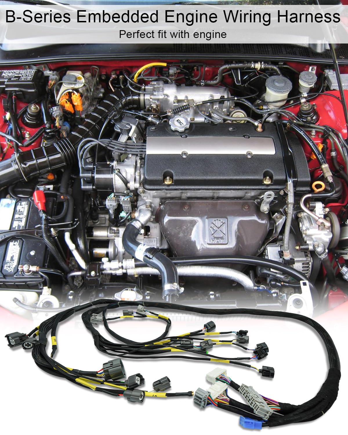 Tucked Engine Harness Replace CNCH-OBD2-1 CNCHOBD21 Fit for Honda Civic Integra B16 B18 D16, OBD2 Budget B-Series Engine Wiring Harness