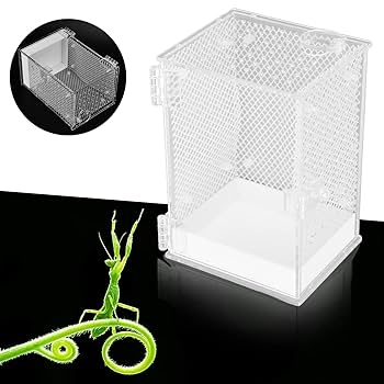 アクリル製中型飼育ケージ　穴あり 71FSHCyC62L._UF350,350_QL80_.jpg