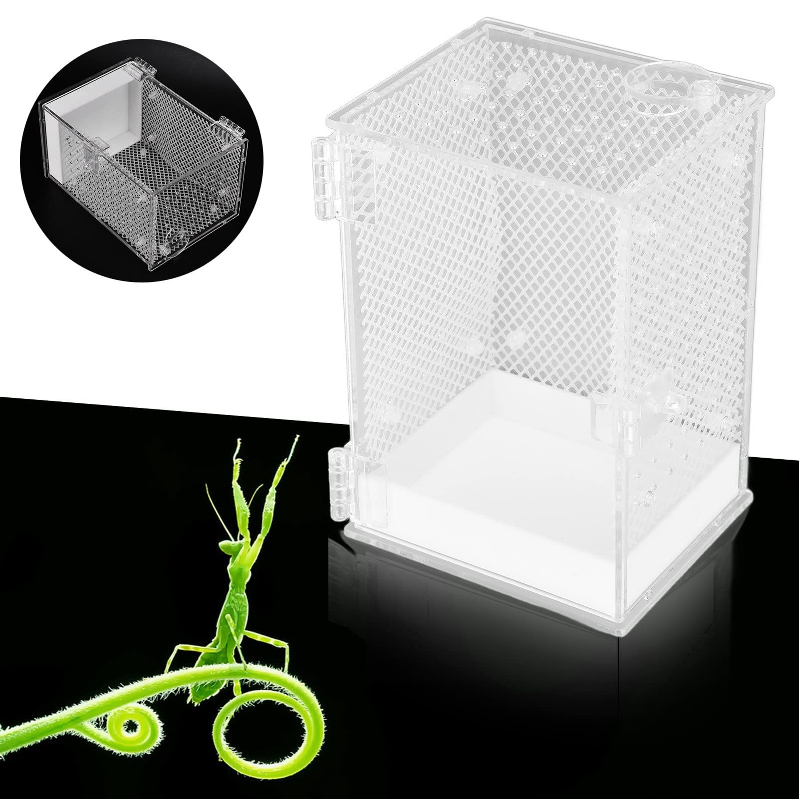 アクリル製中型飼育ケージ　穴あり 楽天市場】【REPTI ZOO】RC54 RZ クリスタルアクリルブリー