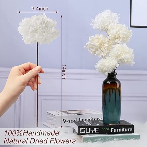 Miniatura 3 de 5 PCS Dried Preserved White Hydrangea Flowers - Length 14'' Corolla Size 3''-4'' Real Hydrangeas Petals Handmade for Vase, Arrangement Boho Style