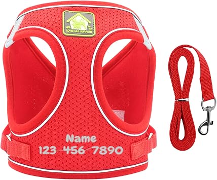 Dog Harness and Leash Set for Small Dogs, No Pull Adjustable Reflective Pet Harness, Breathable Soft Step-in Vest Harness for Puppies Small Medium Dogs Outdoor Walking Red Custom, S ...