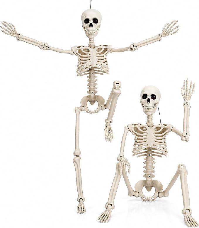 HBSTK 2Pack 36 Inches Pose-N-Stay Halloween Skeleton Life Size Full Body Posable Movable Jonints for Halloween Decoration Decor