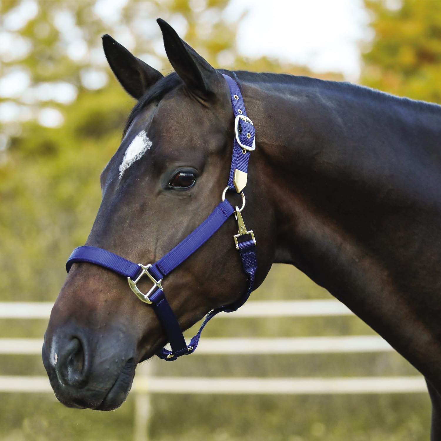 Dura-Tech Supreme Triple Ply Nylon Horse Halter with Brass Grommets | Custom Name Plate & Embroidery Option | Heavy-Duty Brass-Plated Hardware | Easy Adjustable Fit