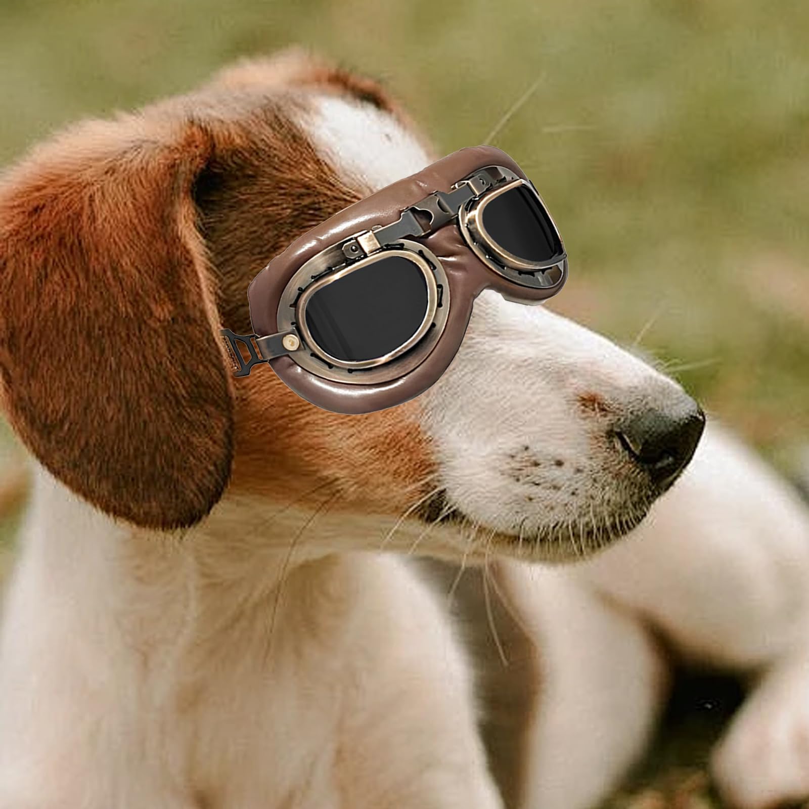 1 Pezzi Occhiali per Cani, Retrò Occhiali Cane, Protezione UV Occhiali da Sole Cane, Antivento Occhiali da Sole per Cani di Taglia Media o Grande Attività all'Aperto, Guida, Marrone