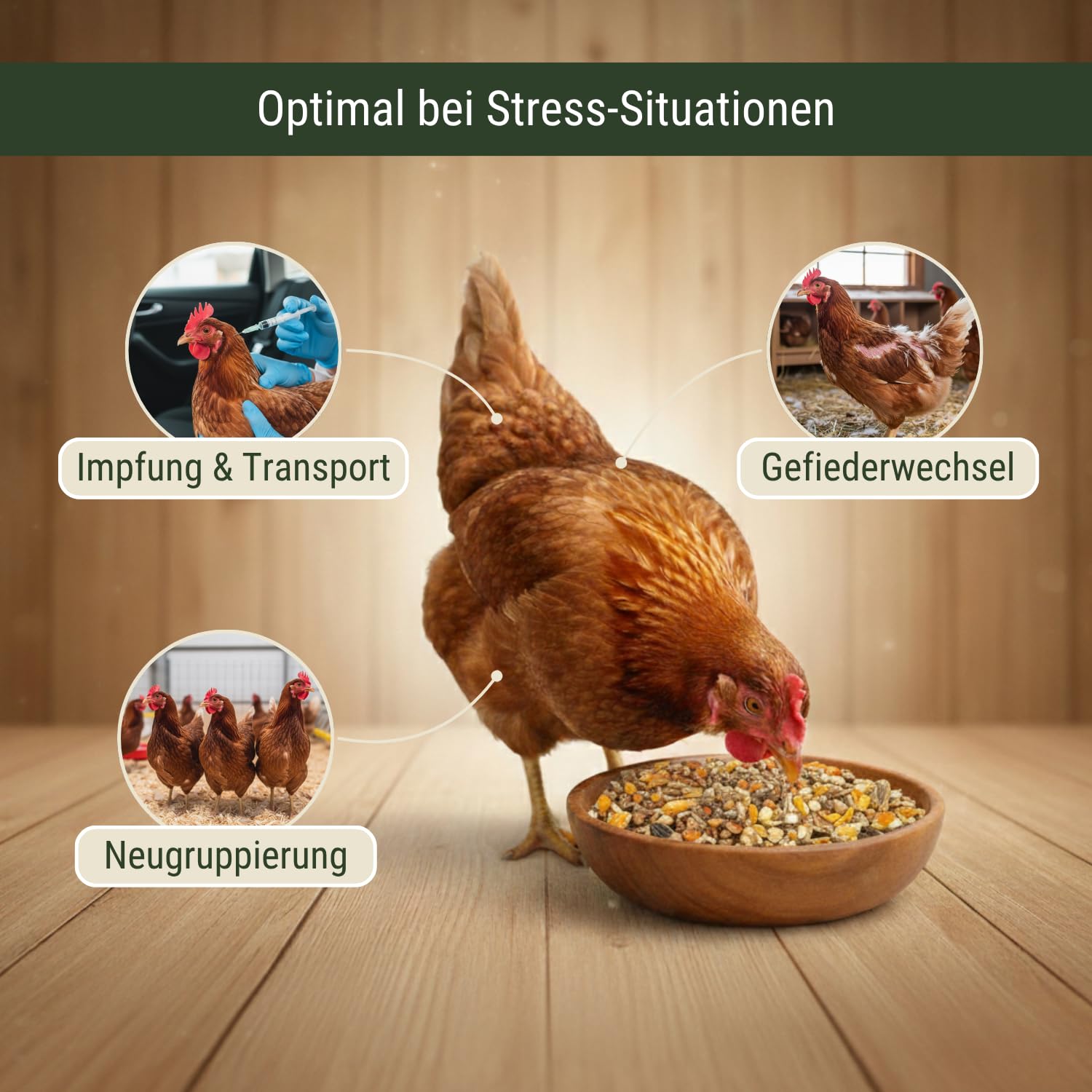 Leimüller Anti-Stress Hühnerfutter gegen Milben 25kg Hühner Legehennen Eier | Mit Zitronenmelisse & Magnesium, reduziert Aggressivität, Körnerfutter, 100% gentechnikfrei