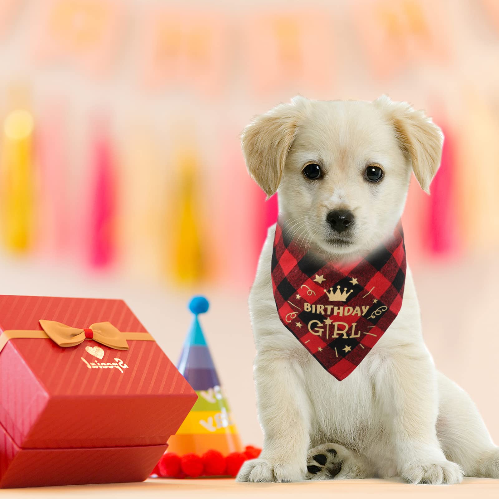 Hunde-Geburtstags-Set Mit Paillettenhut & Bandana – Für Kleine & Mittelgroße Hunde, Blau