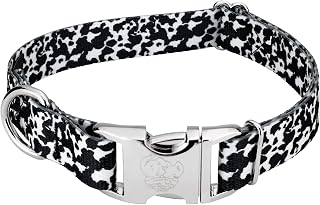 Country Brook Petz - Premium Dairy Cow Dog Collar - Animal Prints Collection with 9 Wild Designs (1 Inch, Medium)