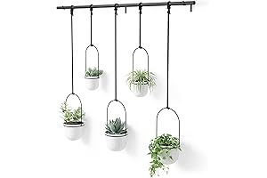 Umbra Triflora Hanging Planters: Adorn Your Home with a Thriving Indoor Hanging Garden