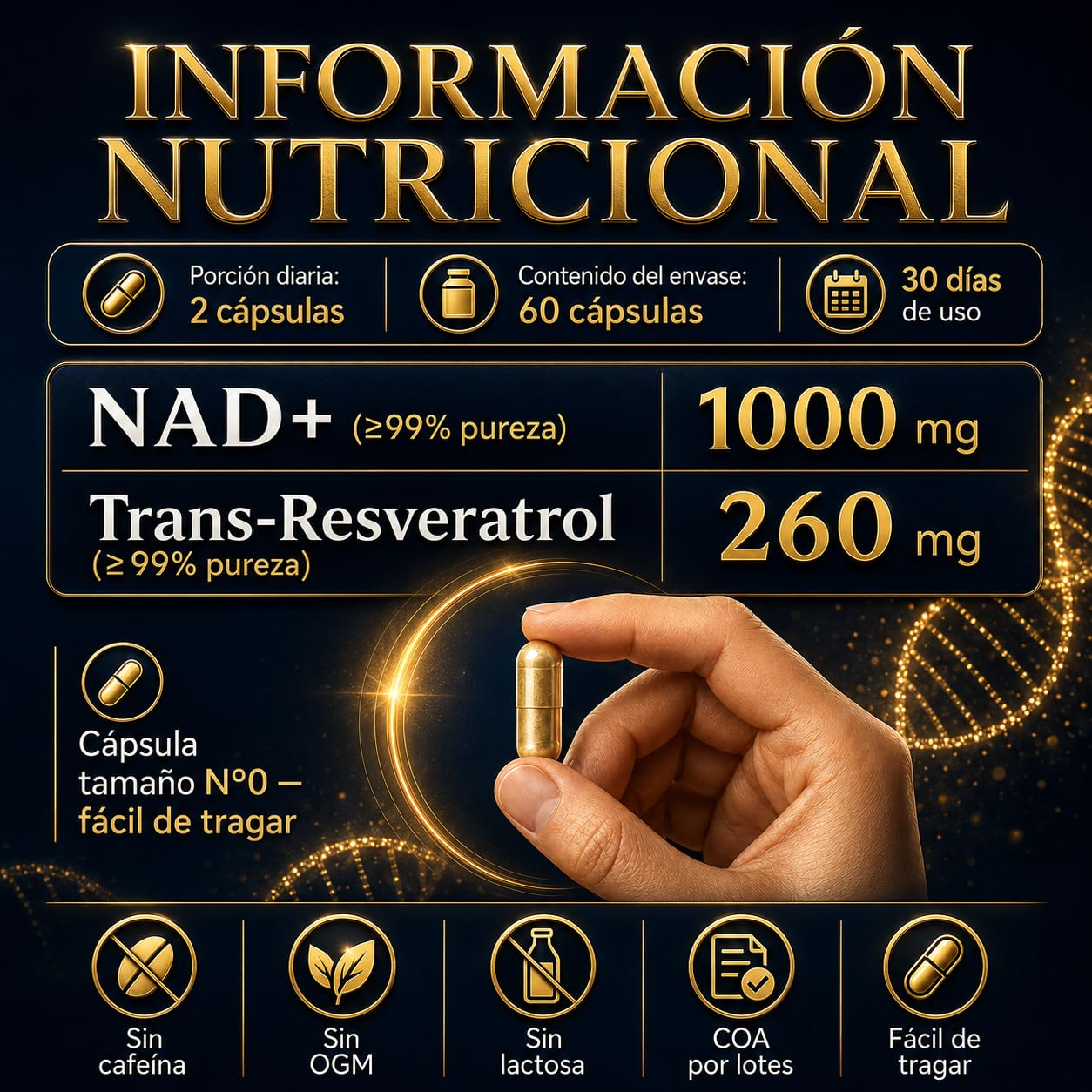 NAD Resveratrol Puro 1000 mg, NAD+ Trans-Resveratrol Sin Cafeína, 60 Cáps | NAD+ 1000 mg + Trans-Resveratrol 260 mg por dosis diaria. Pureza superior al 99%, analizada por lote. Marca española