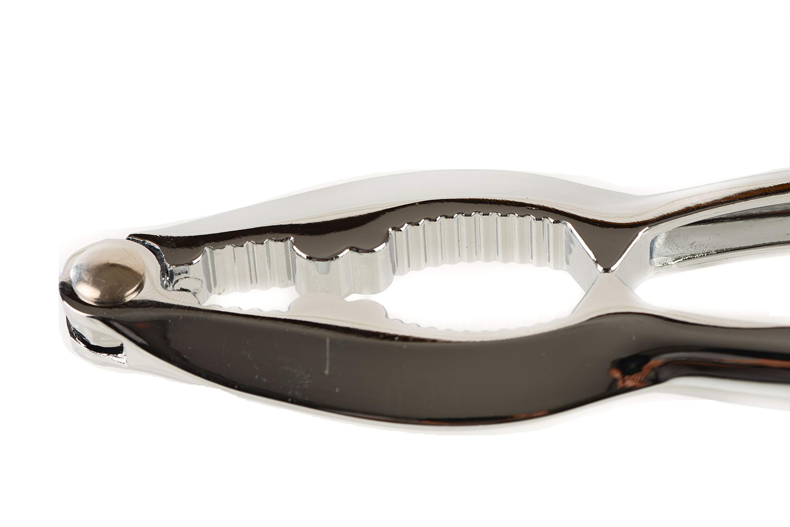 [1 PACK] Stainless Steel Lobster Cracker - Premium Heavy Duty Nutcracker, Seafood Cracker, Lobster, Nuts by EcoQuality