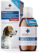 RECOACTIV Gelenk Tonicum Forte for Dogs, 1 x 280 ml, Diet Supplementary Food for Degenerative Joint Diseases, with Green-Lipped Mussel, Glucosamine, Chondroitin Sulphate, MSM, Devil's Claw & Omega-3