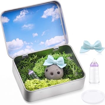 Tinideya 9 Pcs Rock Adoption Kit, Cute Low-maintenance Desk Companions