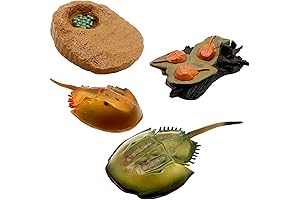 Life Cycle Toys, Horseshoe Crab Life Cycle Plush