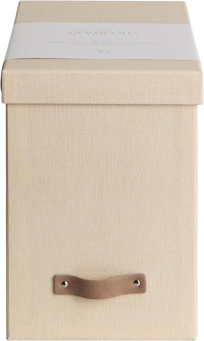 Amazon.com: Bigso John File Box - File Storage Box and File Organizer ...
