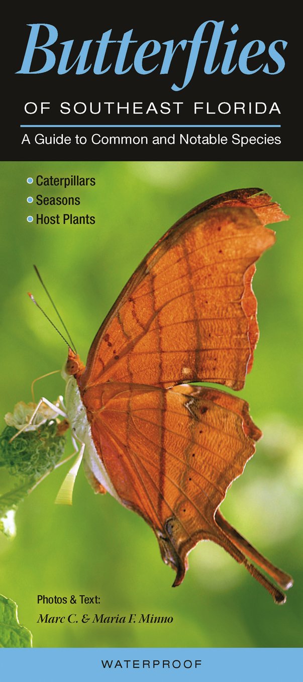Butterflies of Southeast Florida: A Guide to Common & Notable Species (Quick Reference Guides)