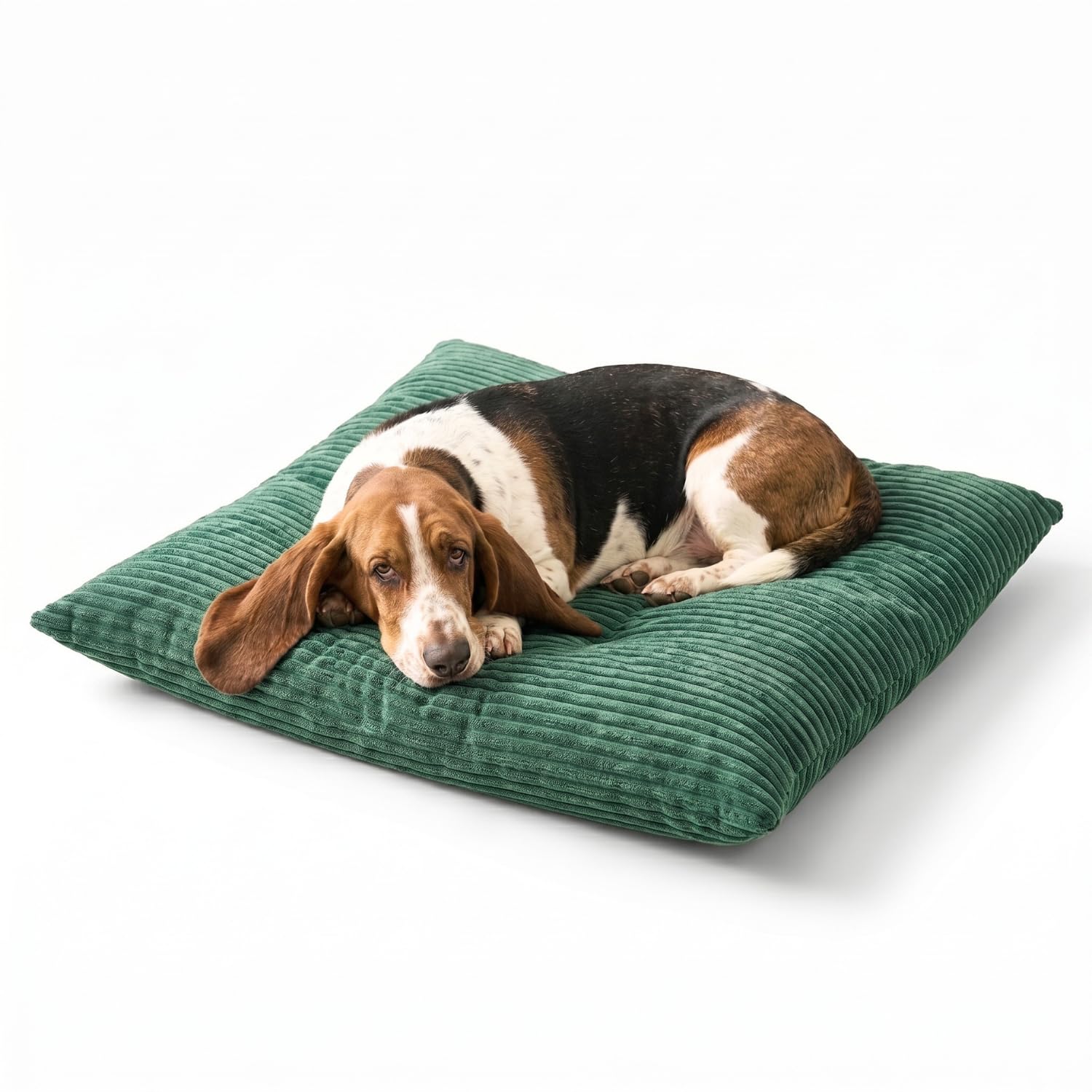 4L Textil ZOE Cojín para Perros Mullido de Pana, con Funda y Cremallera, Cómodo y Lavable (100x80 cm, Verde(Rayas)) | 100 x 80 cm | verde | funda extraíble | con cremallera | lavable a máquina