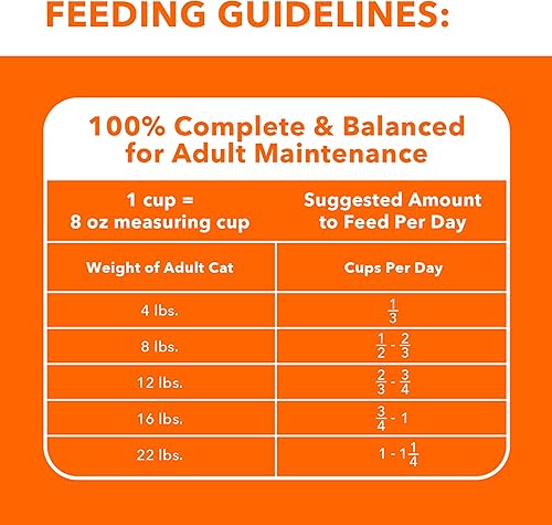 Miniatura 7 de Alimento seco para gato adulto IAMS Proactive Health Specialized Care