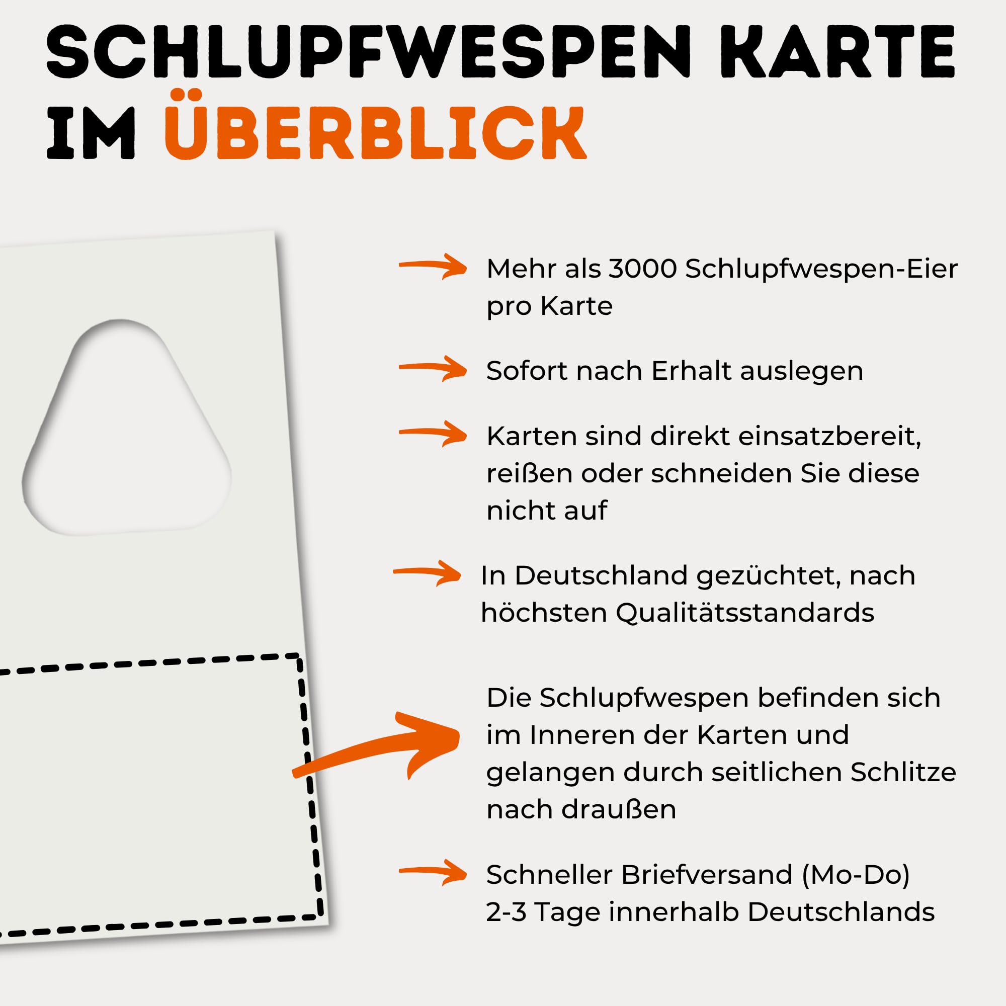 Schlupfwespen gegen Lebensmittelmotten - 20 Karten à 1 Lieferung zur effektiven Bekämpfung - biologische Alternative zur Mottenfalle oder Pheromonfalle