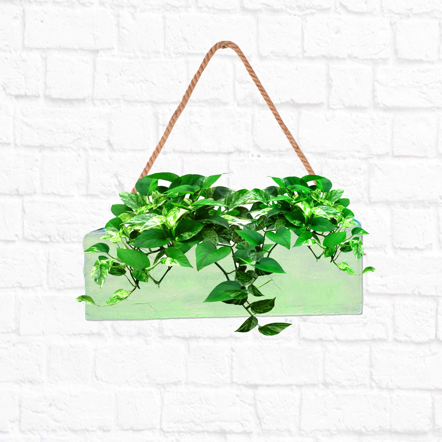 LIVEONCE Hanging Wood Planter - Green -4
