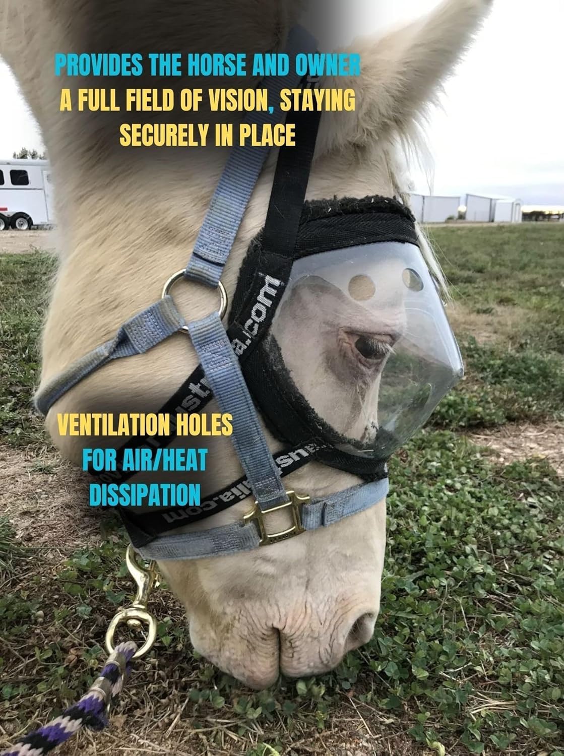 Recovery Vizor, (Size Full - Clear UV Tint) Medical and Preventative Horse Eye (Goggle) Protection Mask for Uveitis, Injury, Scratch or Corneal Infection, Blindness.