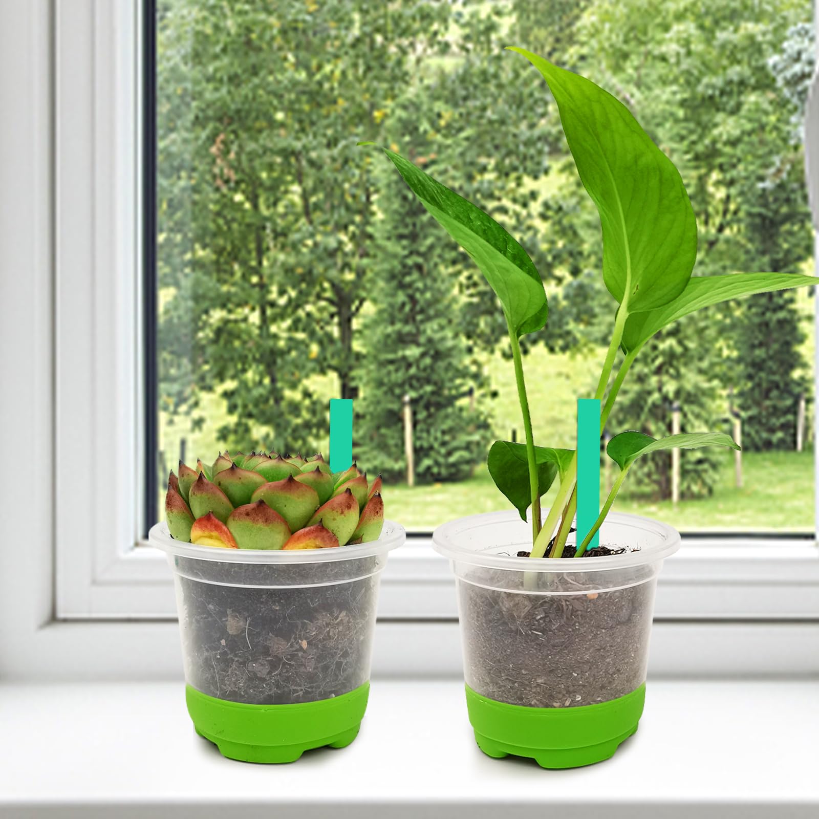 Nursery Pots For Plants Cheap 2Pcs Transparent Orchid Pots Flower ...