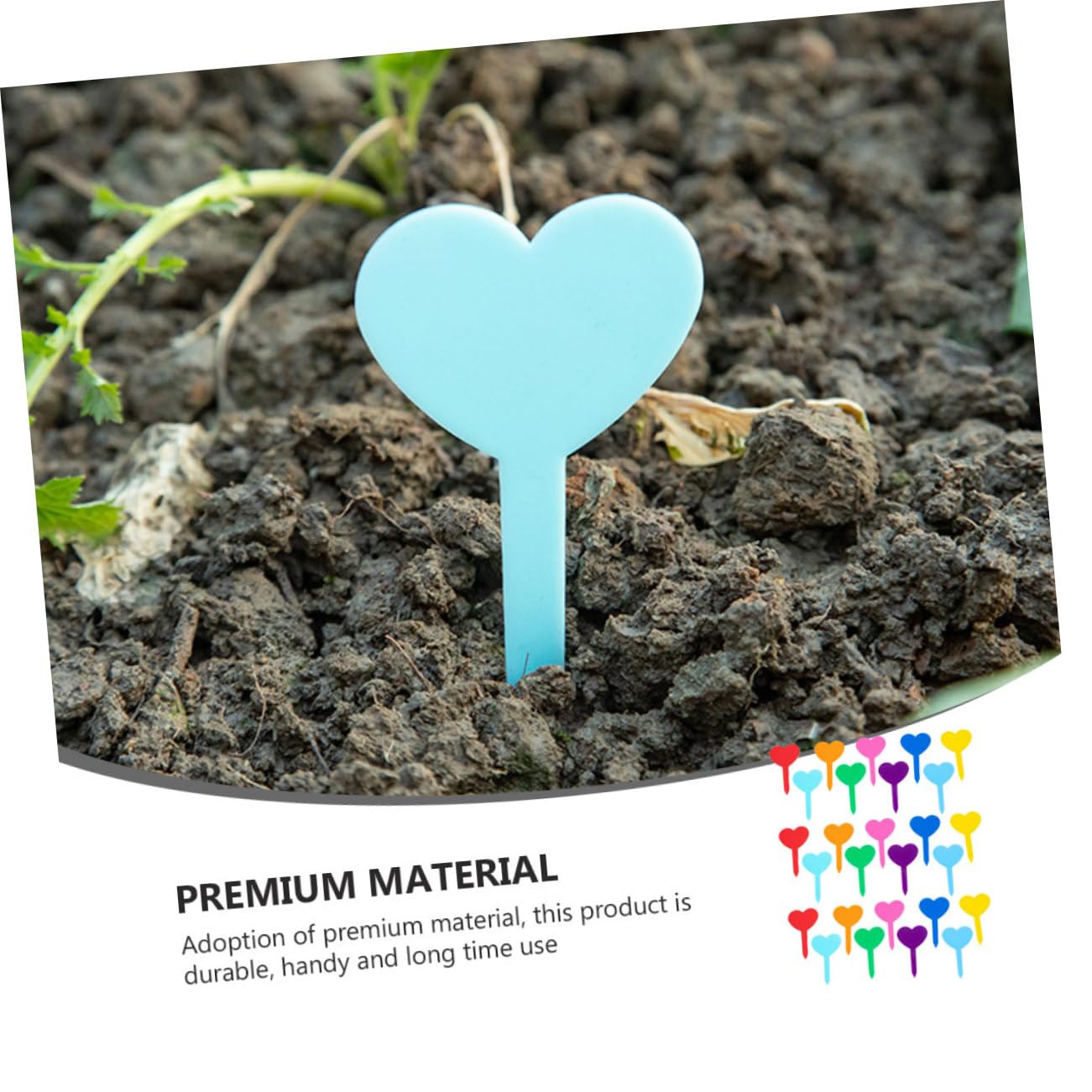 SUPVOX 3 Set Etichetta Vegetale Piante Phyto Waterproof Specchio Chiaro Piantatrice Di Cactus Fito Scheda Etichetta Fiore Decorativa Da Giardino Polietilene Pp 200 Pezzi * 3