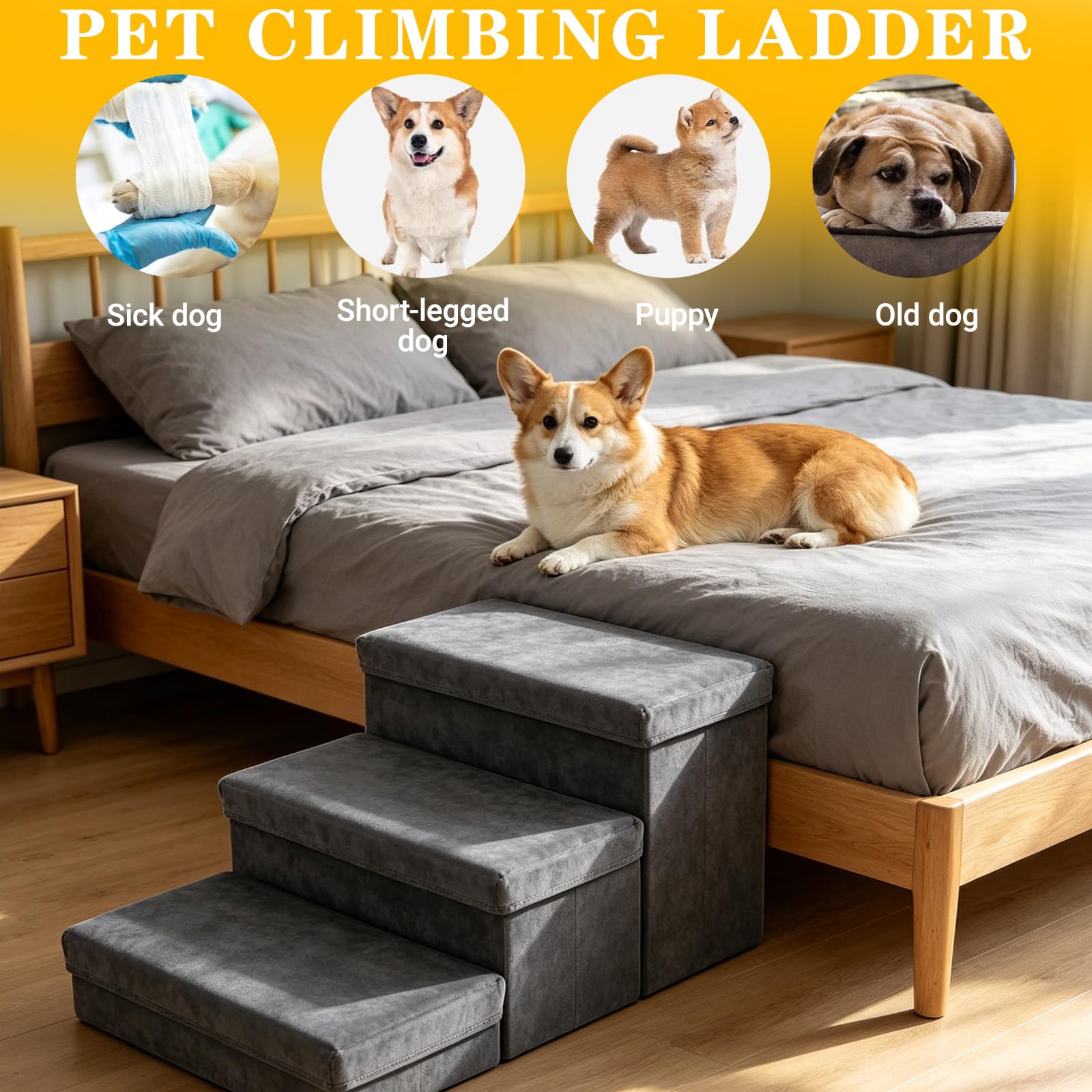 Escalier pour Chien Pliable, Escalier pour Chien Canapé avec Espace de Rangement, Marche pour Convient aux de Petite à Grande Taille
