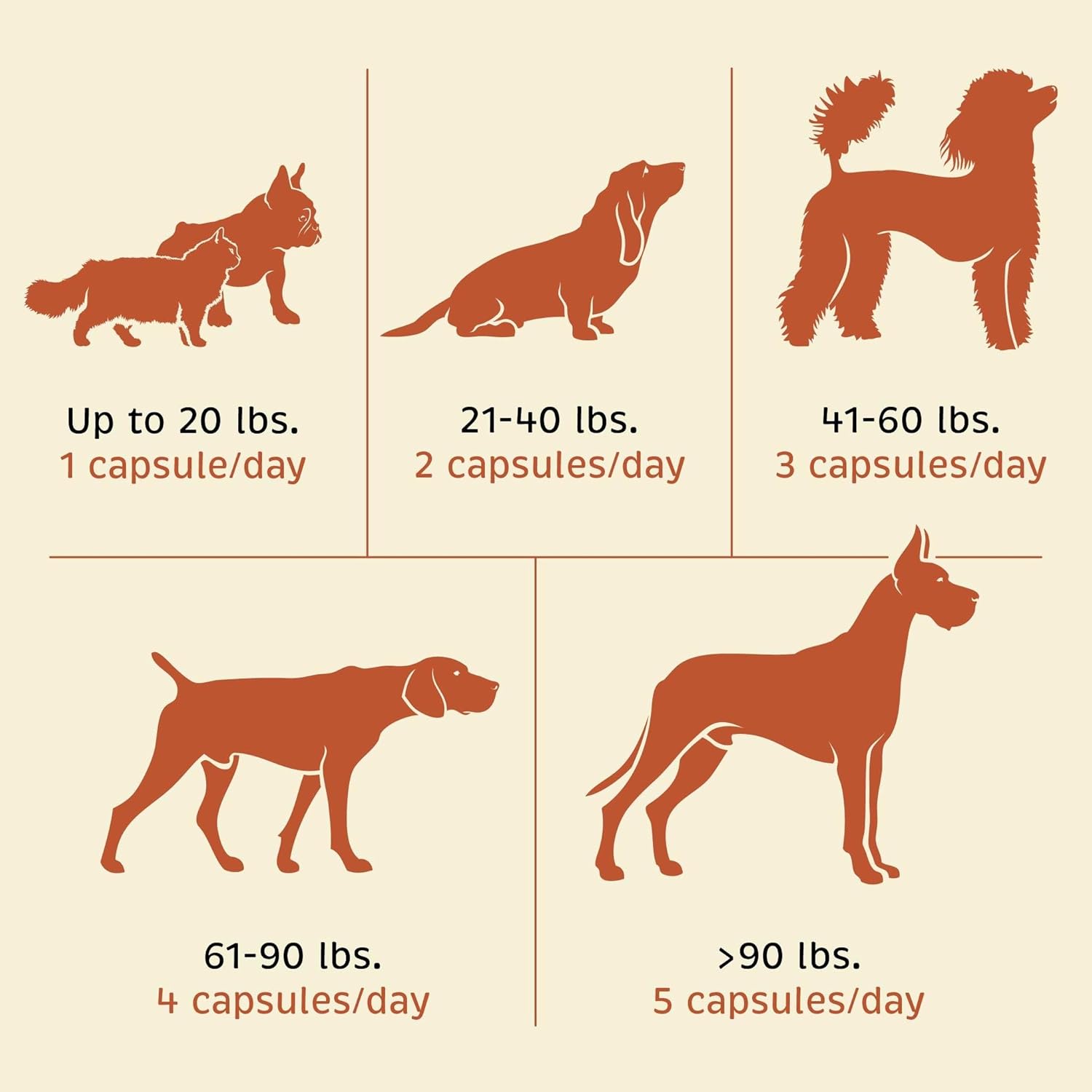 Spirited Paw Pet Wellness Bundle - Dental & Probiotic Support for Cats and Dogs - Teeth Powder & Gut Health Capsules for Oral and Digestive Health - 165 g Powder & 90 Capsules