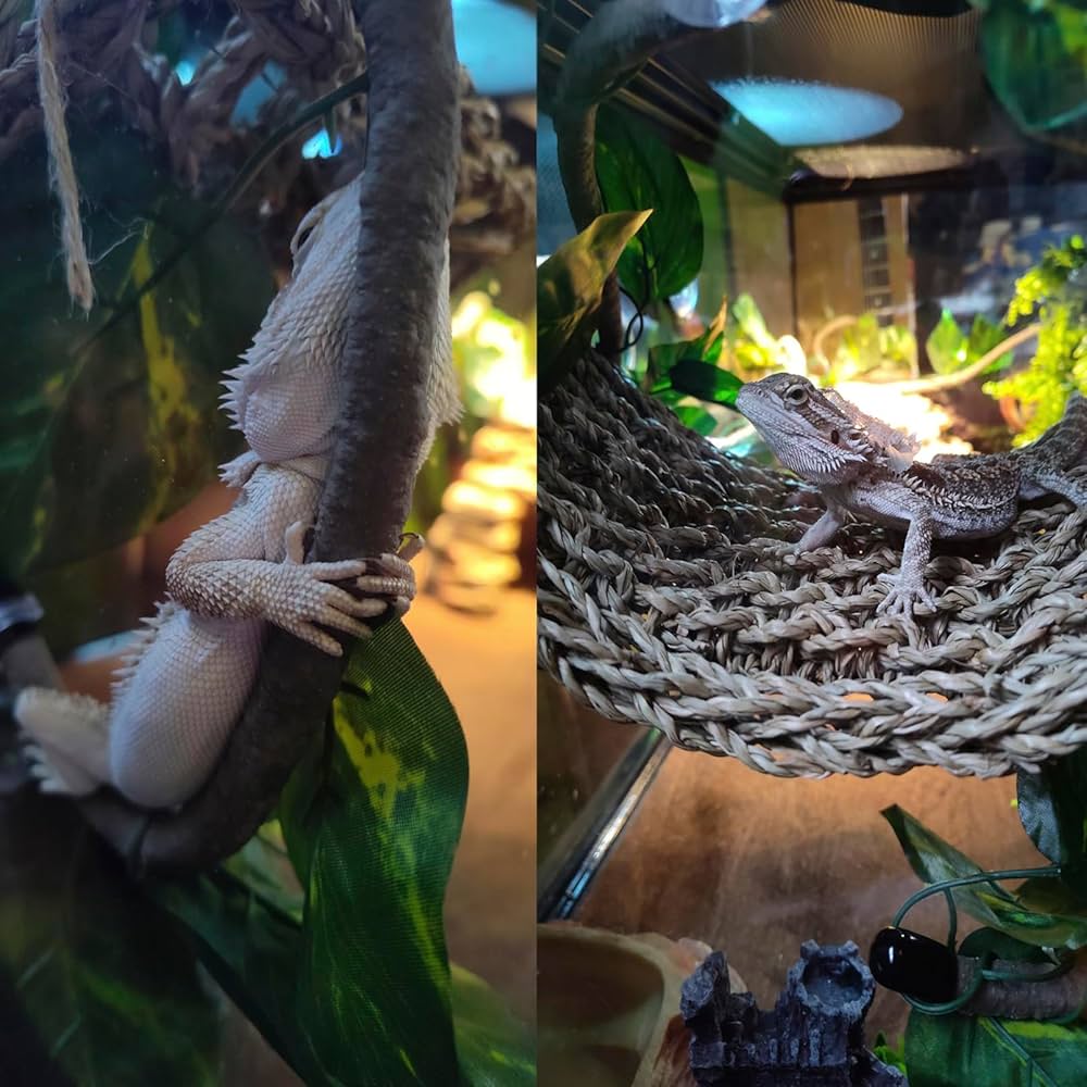 QUOZUO Bearded Dragon Tank Accessories, Reptile Plants Artificial