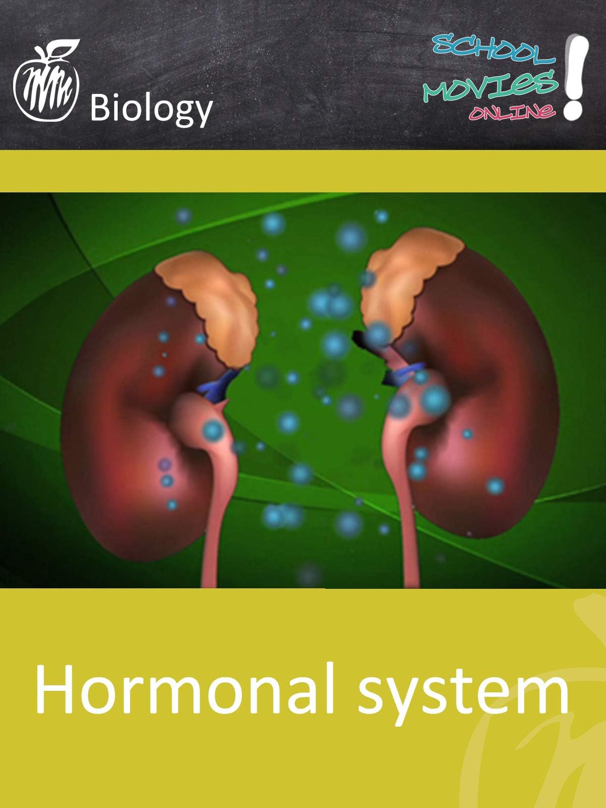 Hormonal system - School Movie on Biology