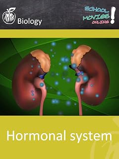 Hormonal system - School Movie on Biology
