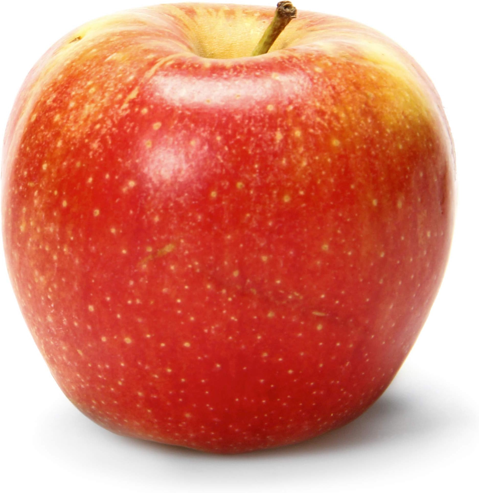 Gala Apple Bag, 32 OZ