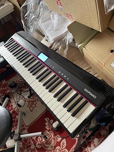 Amazon.co.jp: Roland ローランド GO:PIANO エントリーキーボード GO