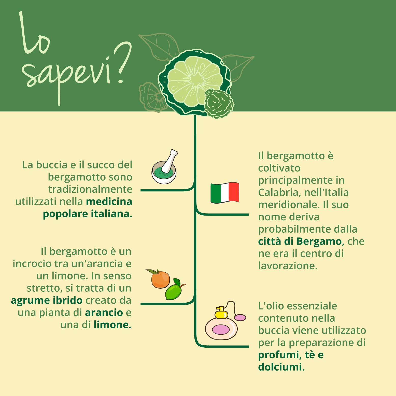 BERGAMOTTO Vegavero® | 1250 mg (15:1) | l’unico con 40% di Bioflavonoidi | Integratore per la Salute Cardiovascolare | Citrus Bergamia | 120 Capsule | Vegan