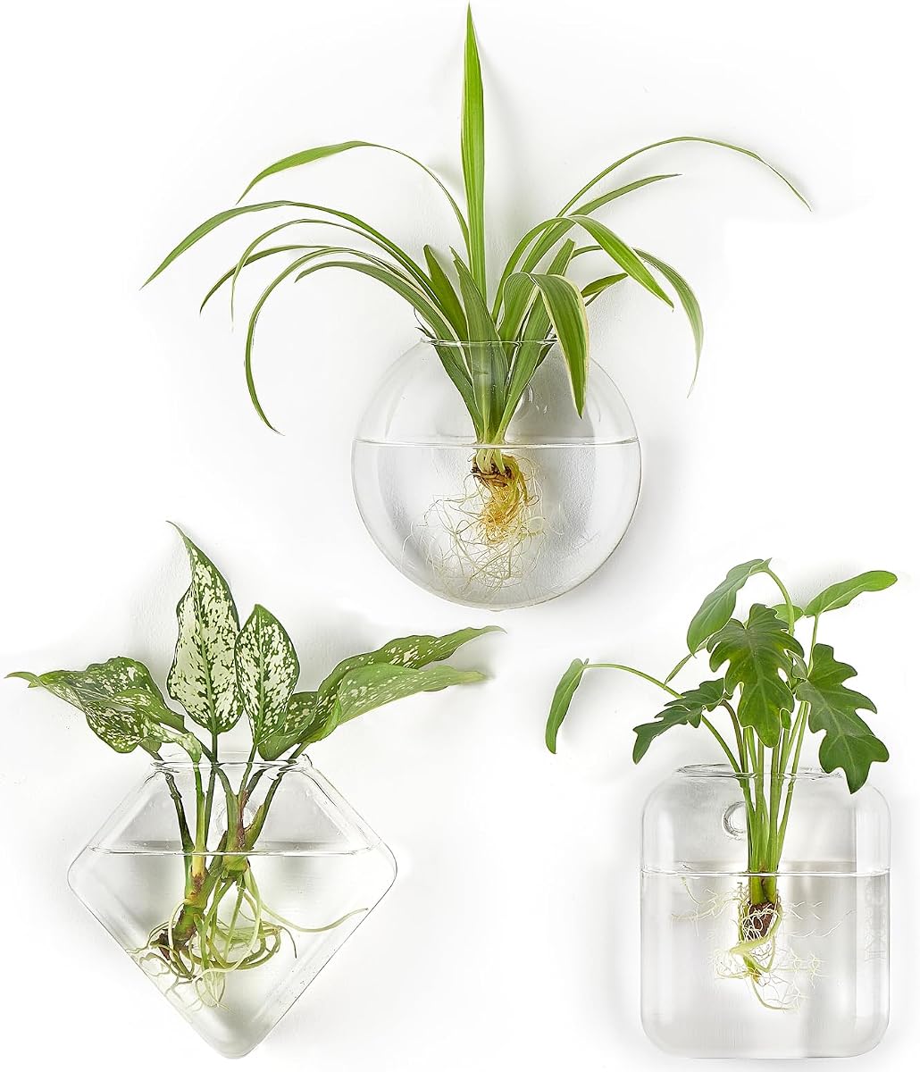 Wall Propagation Planters Hanging Glass Plant Vase Holder, 3 Pack | Three Shapes Terrariums Station,for Indoor Hydroponic Plants Flowers,Easy to Install,Home Bathroom Decor, Plant Lover Gift