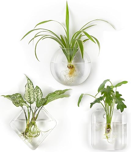 Mkono Wall Propagation Planters Hanging Glass Plant Vase Holder, 3 Pack | Three Shapes Terrariums Station,for Indoor Hydroponic Plants Flowers,Easy to Install,Home Bathroom Decor, Plant Lover Gift