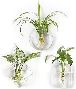 Mkono Wall Planter Propagation Stations Hanging Glass Terrariums Vase Container for Propagating Hydroponic Plants Flowers Home Office Living Room Bathroom Garden Decor, 3 Pack(Plants not Included)