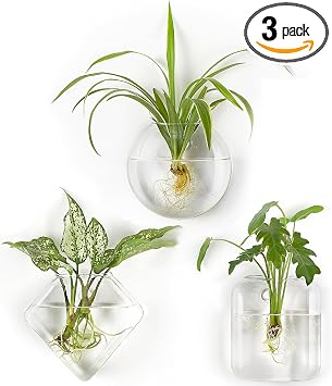 Mkono Wall Planter Propagation Stations Hanging Glass Terrariums Vase Container for Propagating Hydroponic Plants Flowers Home Office Living Room Bathroom Garden Decor, 3 PackPlants not Included
